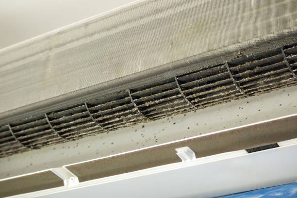 Best Professional Duct Cleaning Services  in Halfway House, PA